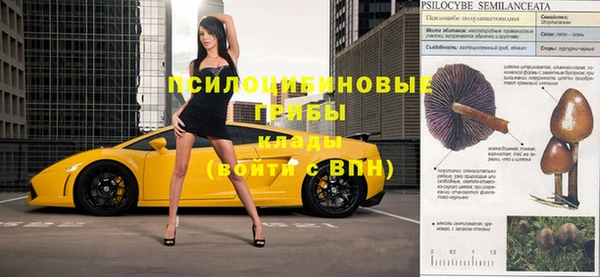 винт Ладушкин