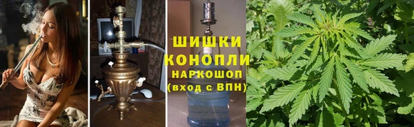 винт Ладушкин