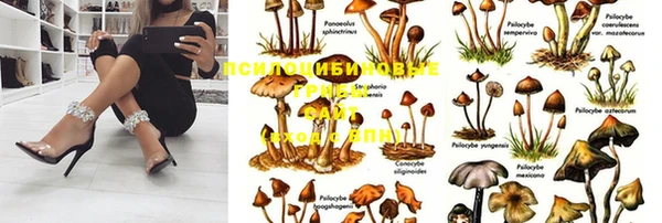 винт Ладушкин