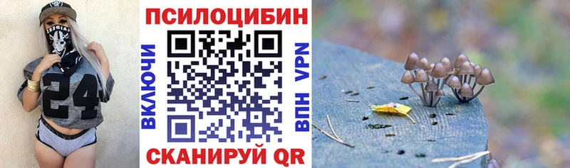 Купить закладки  Боровичи  Псилоцибиновые грибы мухоморы 