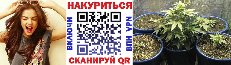 Купить где  Боровичи  Каннабис LSD WEED 